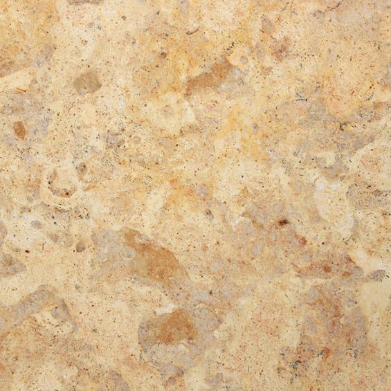 GN Designs - Tampa Improvements