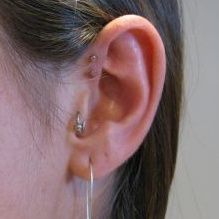 Museum Of Living Arts Body Piercing - Charleston Professionals