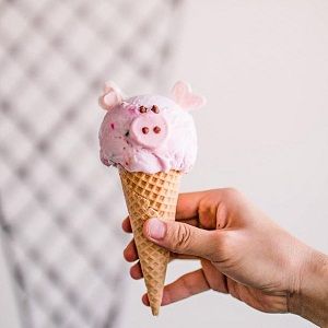 Kones Kreamery - Fargo Informative