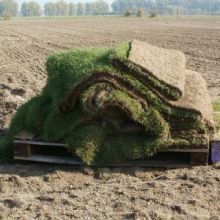 Sunny Slope Sod Farm, LLC - Longmont Improvements