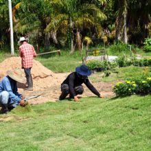 Sunny Slope Sod Farm, LLC - Longmont Contemporary