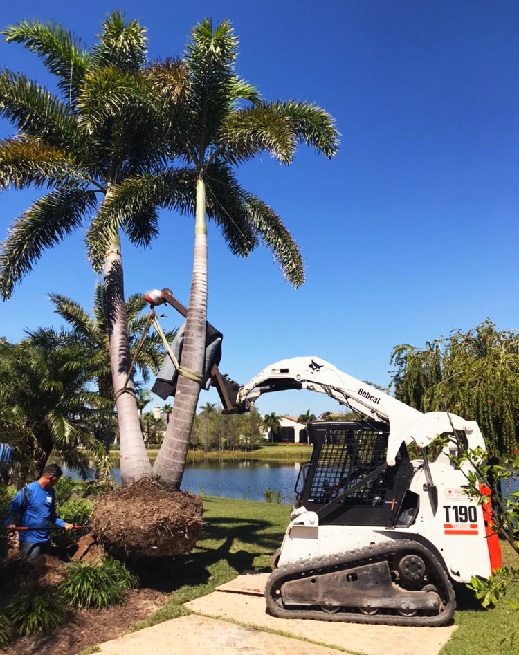 Sarasota Landscaping Inc. - Sarasota Accessibility