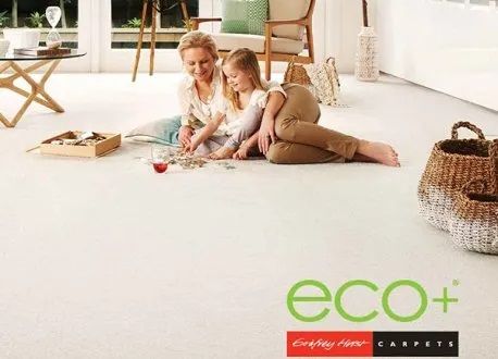 Burrows Carpets and Floors Appointment