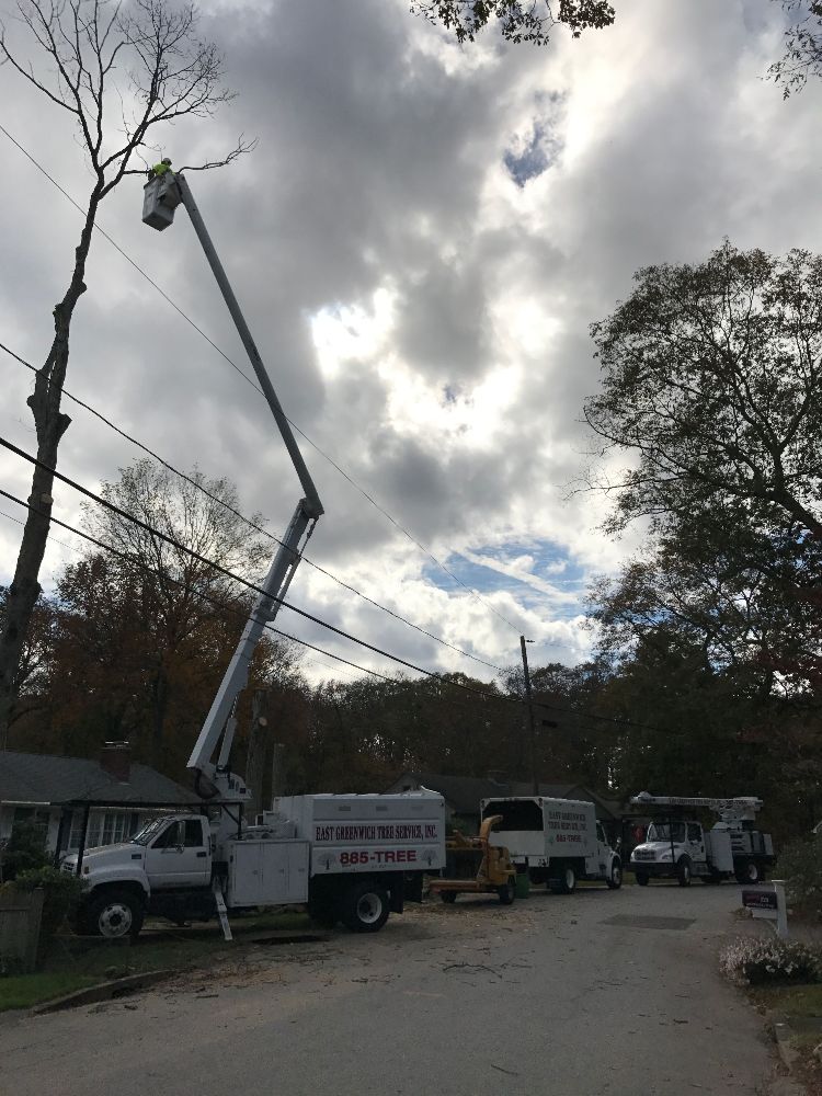 East Greenwich Tree Service Inc - East Greenwich Appointments