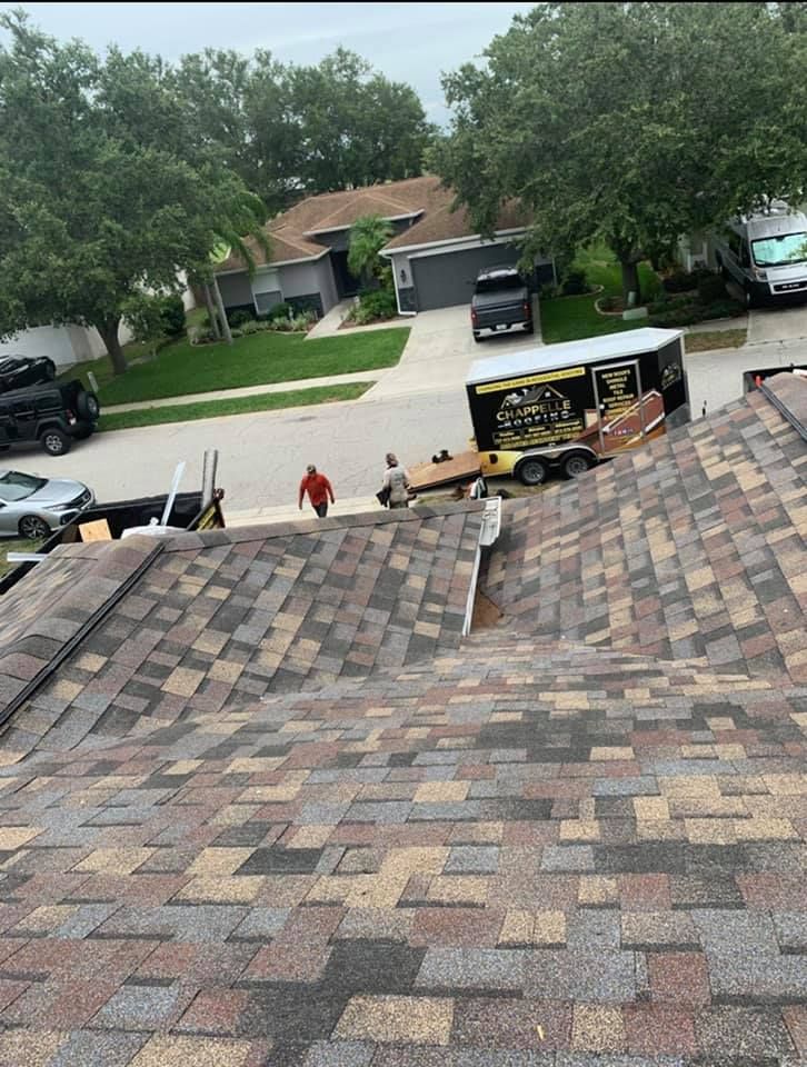 Roofing Arcadia | Chappelle Roofing Services -Arcadia Information