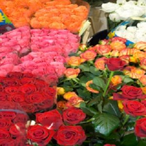 Gainesville Floral Exchange - Gainesville Informative