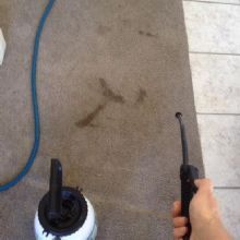 Proteck Carpet & Tile Cleaning - Delta Appointment