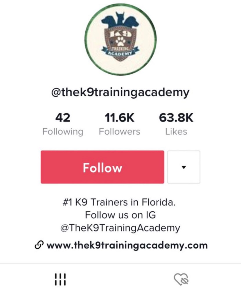 The K9 Training Academy West Palm Beach - West Palm Beach Appearance