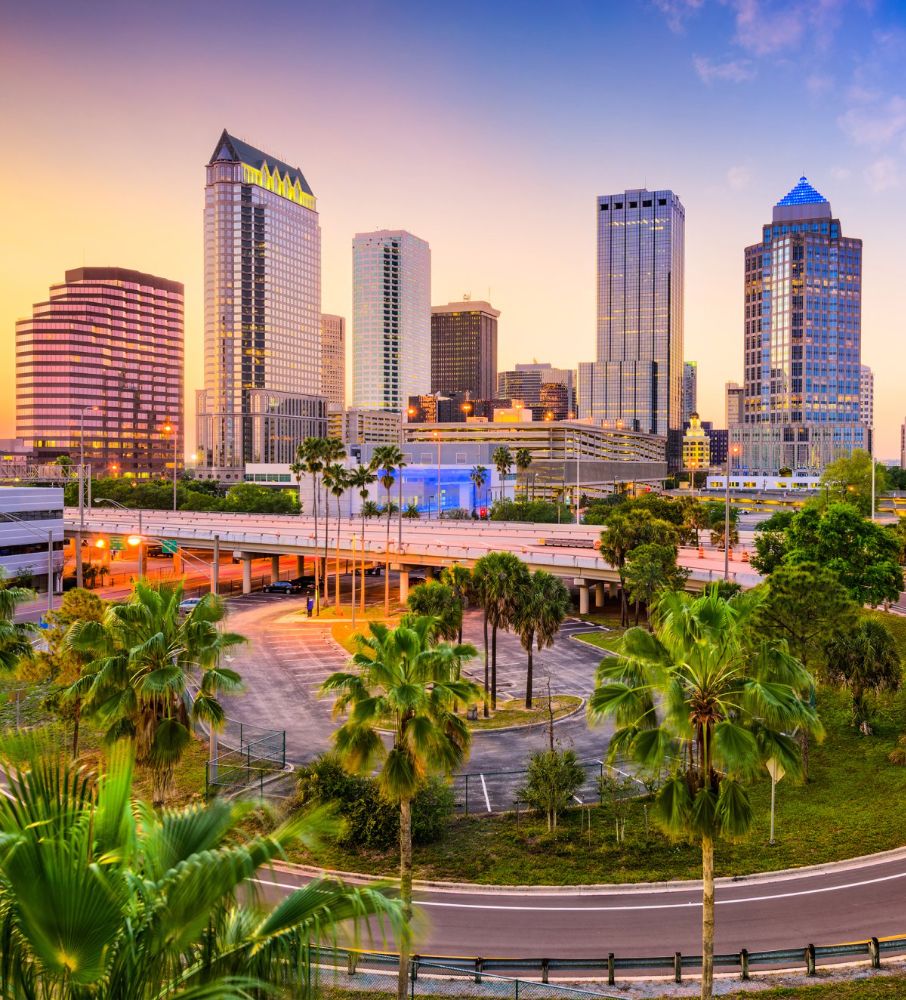 Landon Plastic Surgery - Tampa Appointments