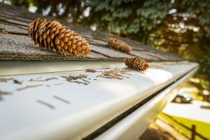 K-Guard Gutters Kansas City - Shawnee Accessibility