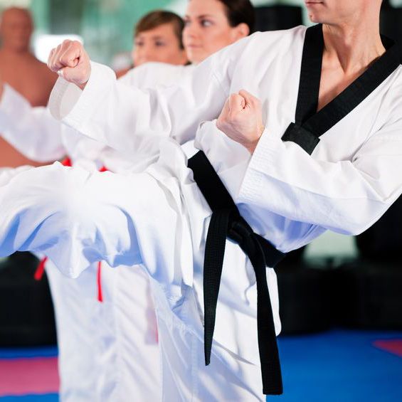 Traditional Karate Dojo - New Baltimore Webpagedepot
