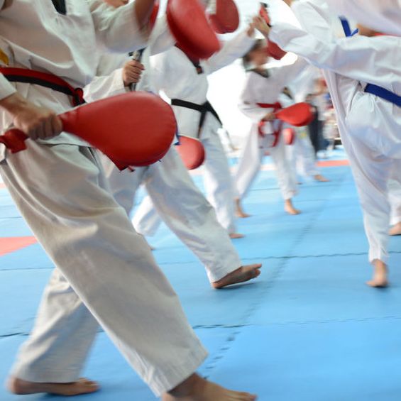 Traditional Karate Dojo - New Baltimore Traditional