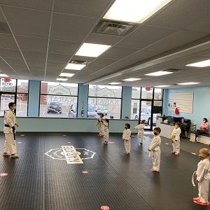 Traditional Karate Dojo - New Baltimore Organization