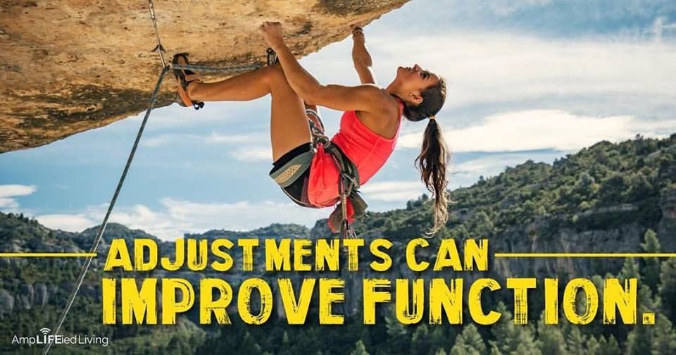 Frank E. Kaden, D.C. Chiropractic, Inc. - Redondo Beach Organization