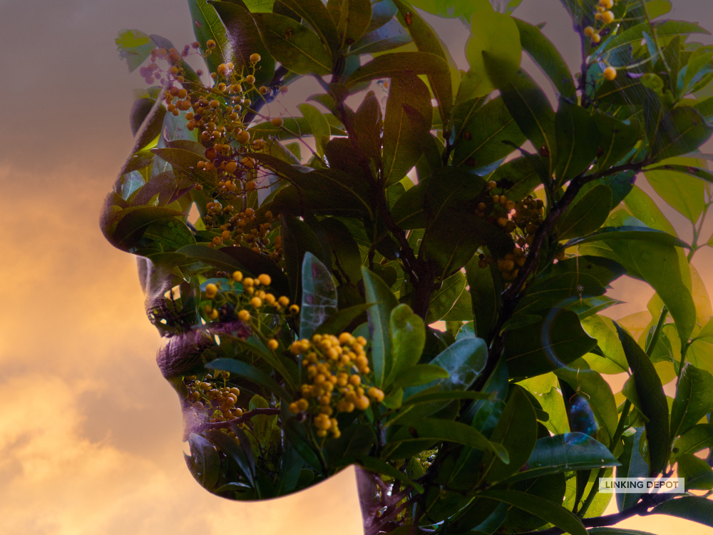 THE CAVANG Affordability