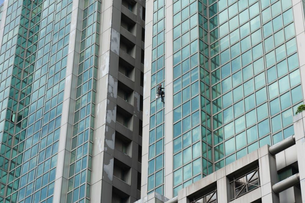 Pristine Window Cleaning Service - Argyle Affordability