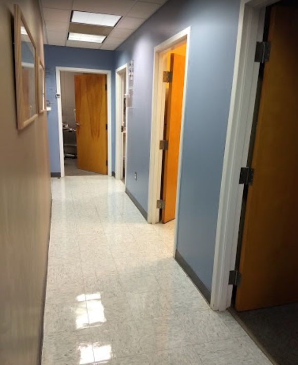 Stine Chiropractic Clinic Webpagedepot