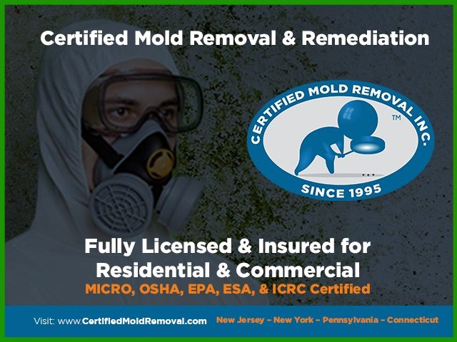 Certified Mold Removal Inc. Improvements