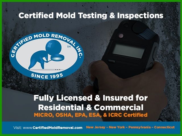 Certified Mold Removal Inc. Accommodate