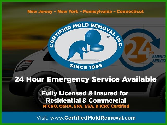 Certified Mold Removal Inc. Maintenance