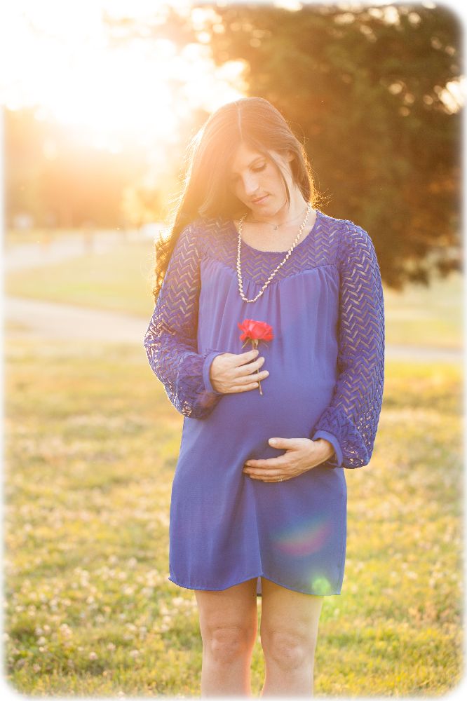 My Pro Photographer Information