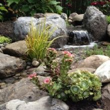 Acorn Ponds & Waterfalls - Rochester Landscaping