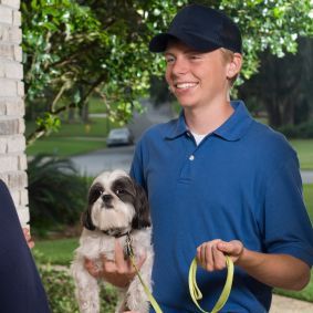 Bradenton DogStars LLC - Bradenton Wheelchairs