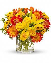 Dale's Florist & Gifts - Morgan City Informative