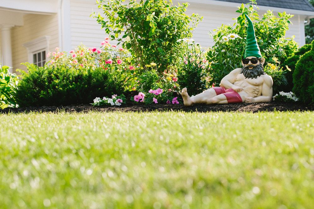 Lawn Doctor - Bellefonte Wheelchairs