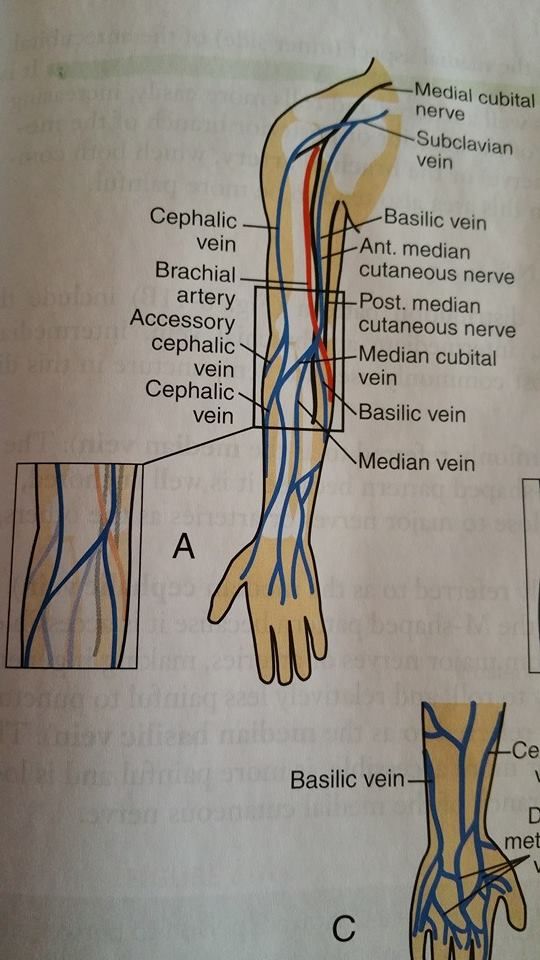 Allheart Health Services, LLC - Sumter Accommodate