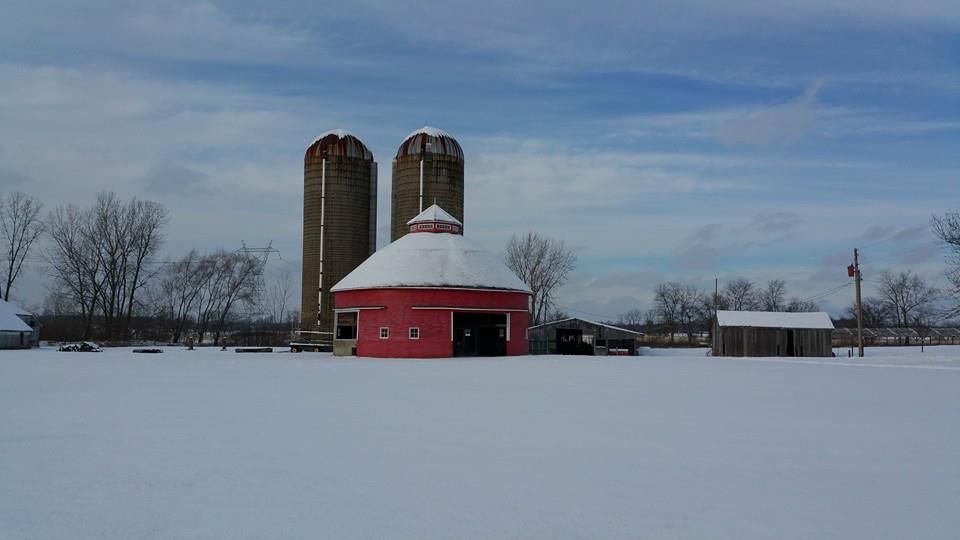 AAA Appraisal Service Information