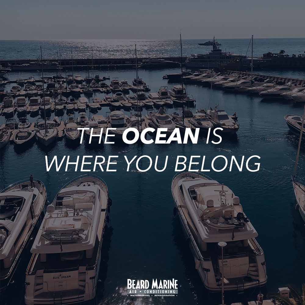 Beard Marine of the Palm Beach - Riviera Beach Informative