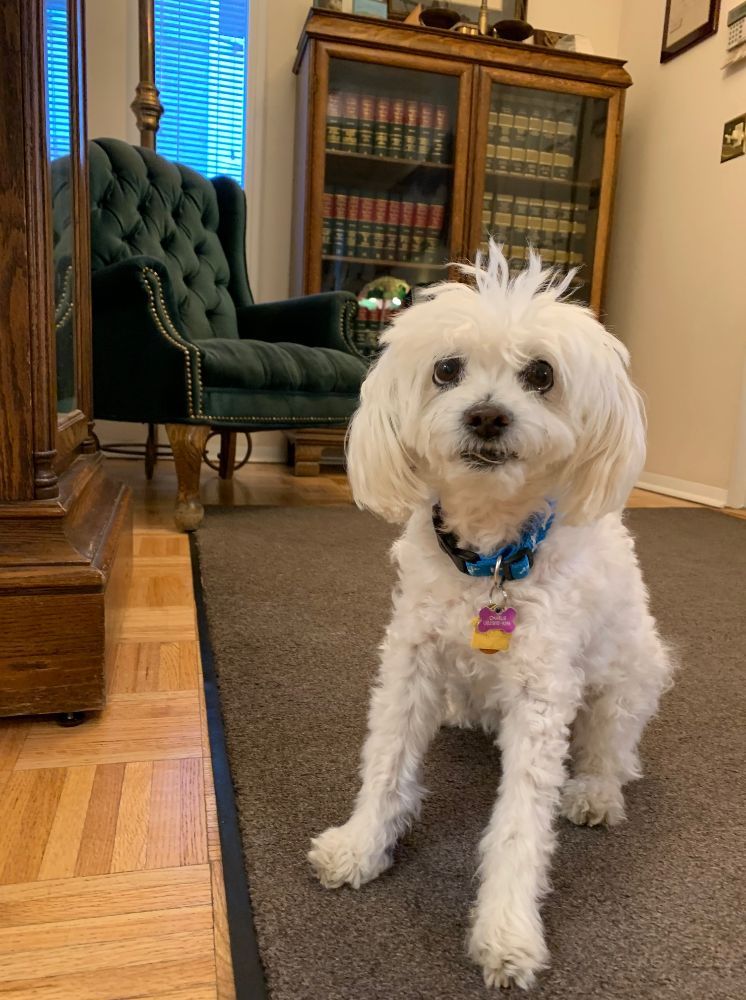 Sloat, Nicholson & Hoover, P.C.- Personal Injury Attorneys - Boulder Informative