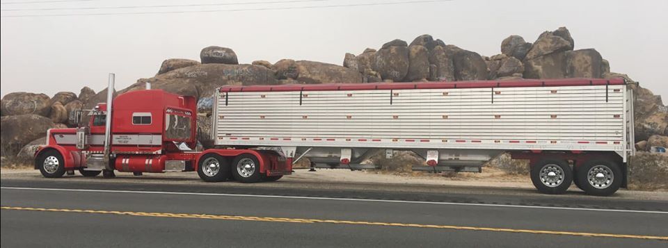 Custom Truck - Garden City Appearance