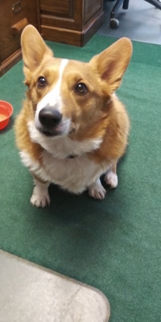 Sloat, Nicholson & Hoover, P.C.- Personal Injury Attorneys - Boulder Maintenance