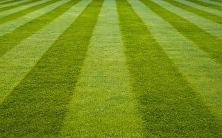 Top Cut Lawn Services - Lake Worth Reasonably