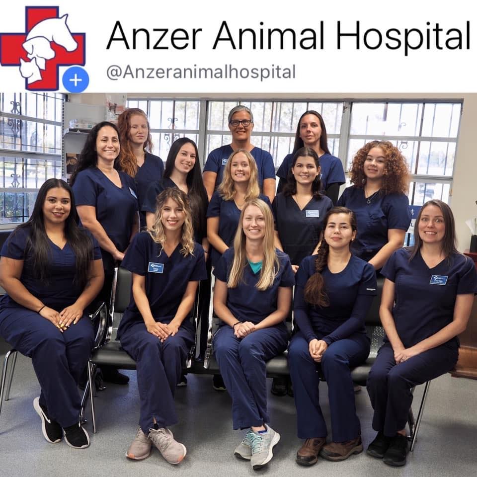 Anzer Animal Hospital - Loxahatchee Webpagedepot
