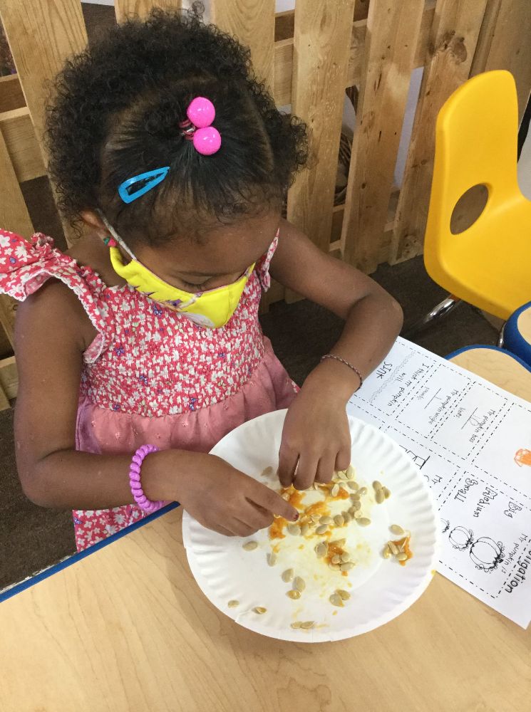 The Treehouse Learning Center - Wentzville Wentzville