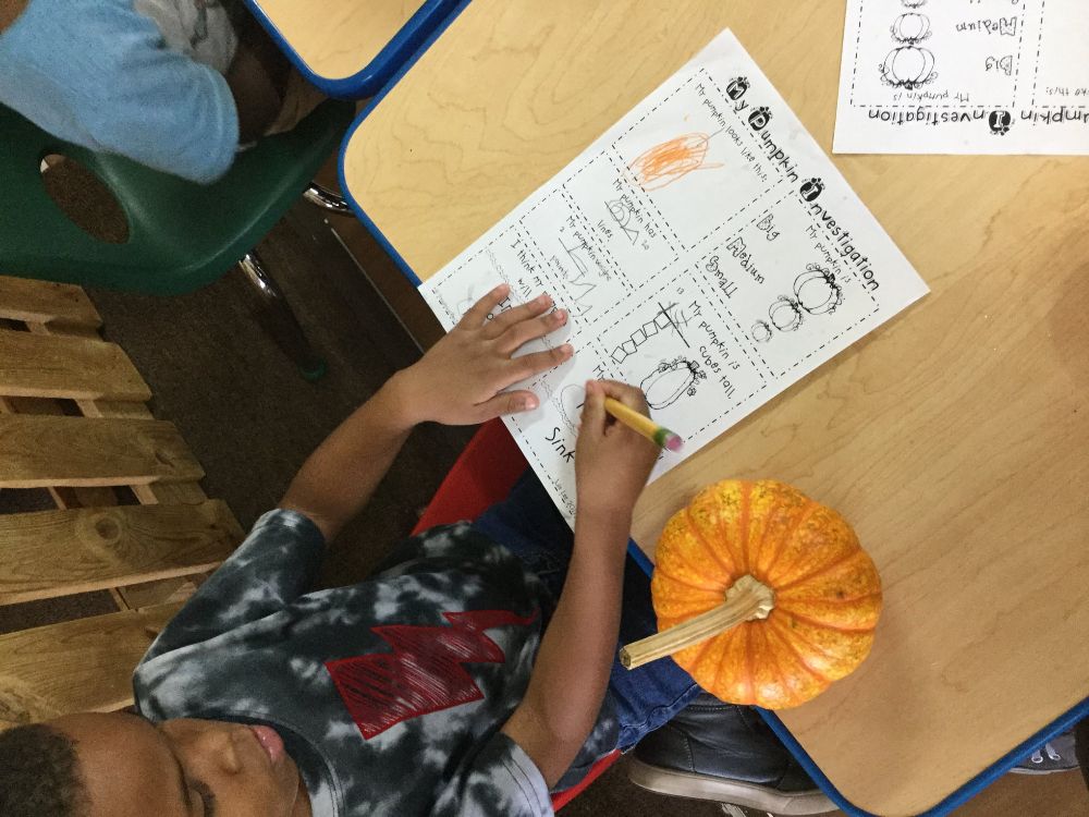 The Treehouse Learning Center - Wentzville Appearance