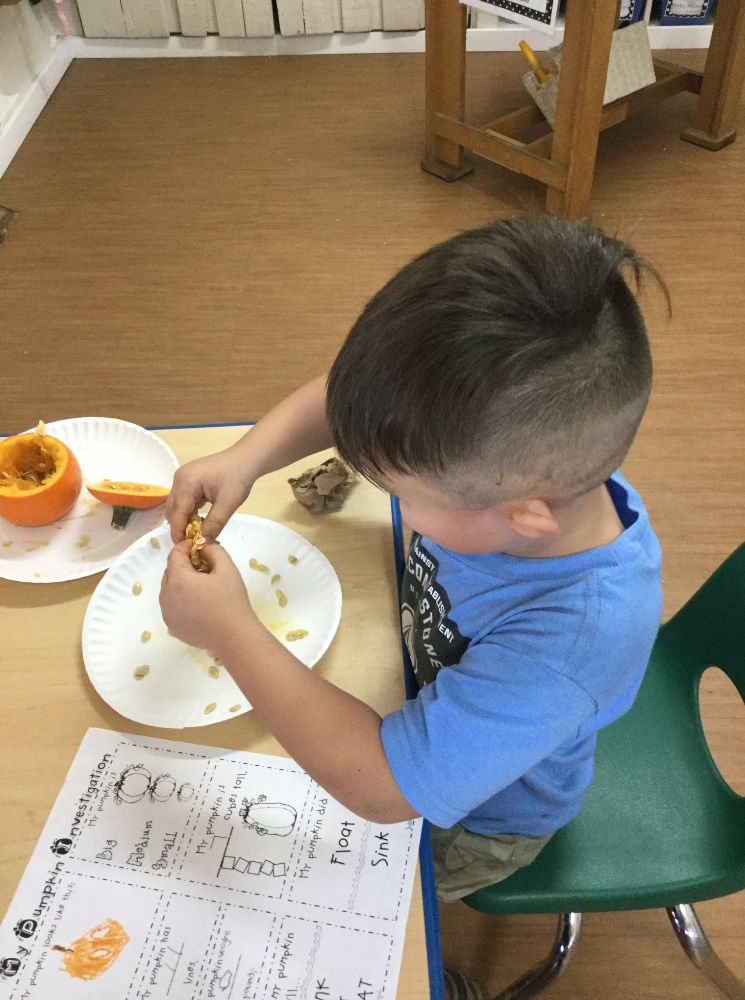 The Treehouse Learning Center - Wentzville Educations