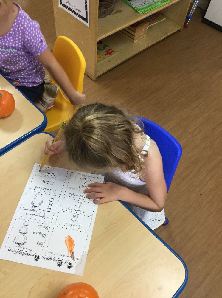 The Treehouse Learning Center - Wentzville Positively