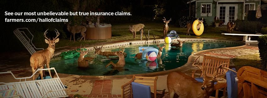 Farmers Insurance - Kevin Tong - San Francisco Informative