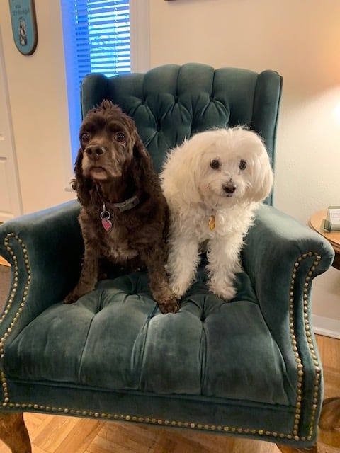 Sloat, Nicholson & Hoover, P.C.- Personal Injury Attorneys - Boulder Thumbnails