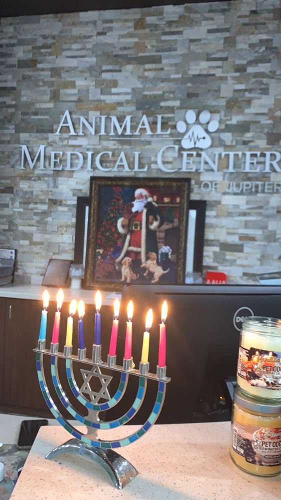 Animal Medical Center of Jupiter - Jupiter Shared(561)