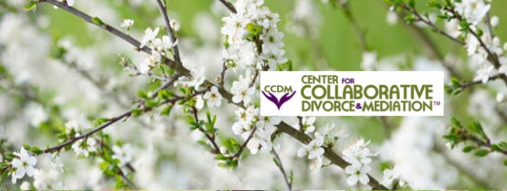 Center For Collaborative Divorce & Mediation - Davie Appointment