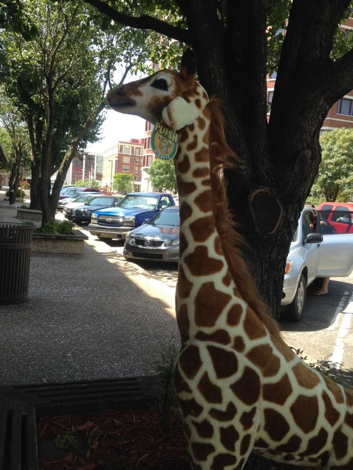 Kidz Korner - Bartlesville Combination