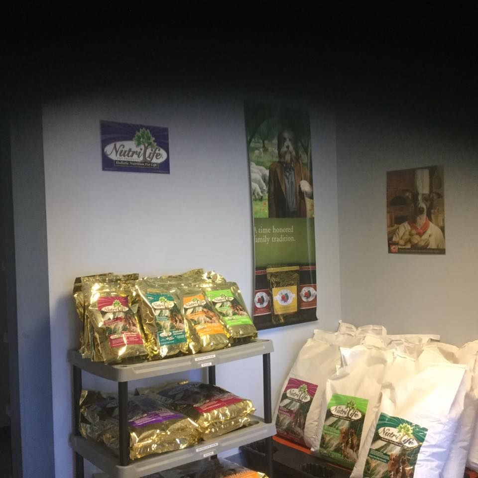 Kiki's Korner - Winfield Information