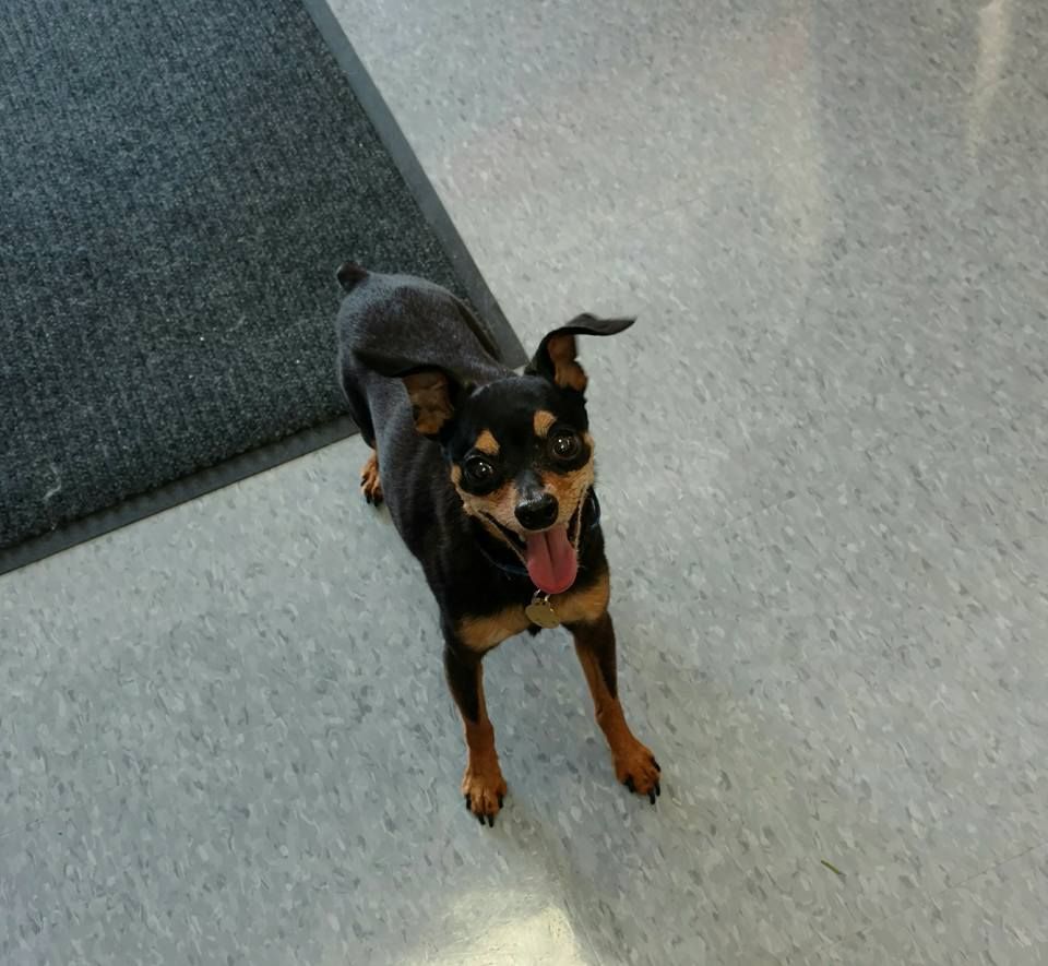 Kiki's Korner - Winfield Thumbnails