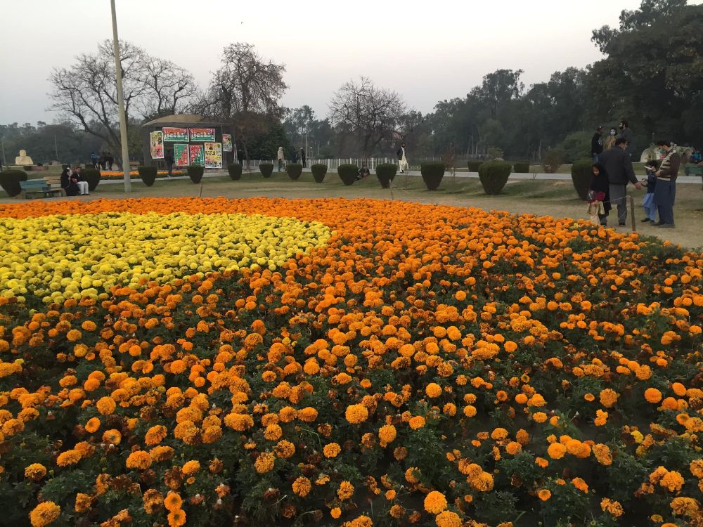 Gulshan-e-Iqbal Park - Lahore Webpagedepot