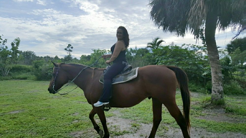 Willington Medical Associates - Loxahatchee Loxahatchee